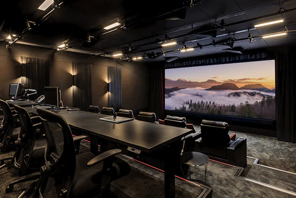Stewart Filmscreen Daily Dual