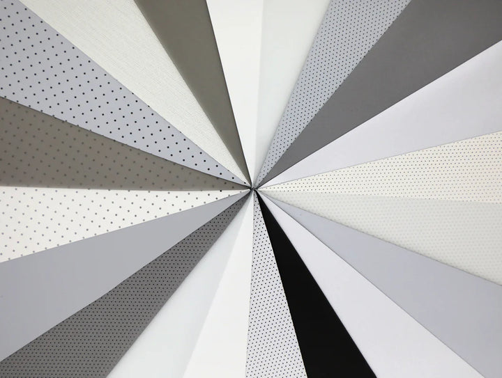 Stewart Filmscreen Daily Dual