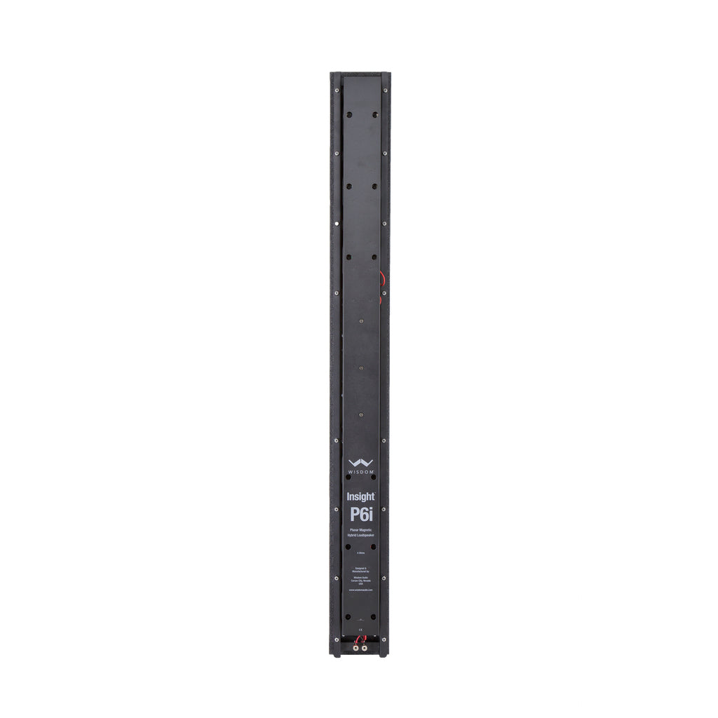 Wisdom Audio P6i